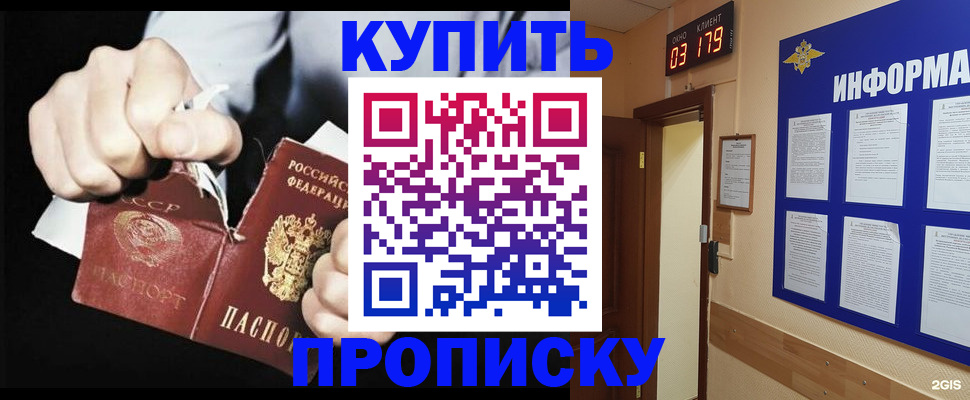 прописка в Мончегорске